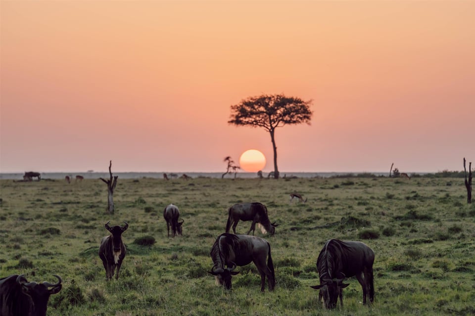 Olare Mara Kempinski, Masai Mara - Miscellaneous