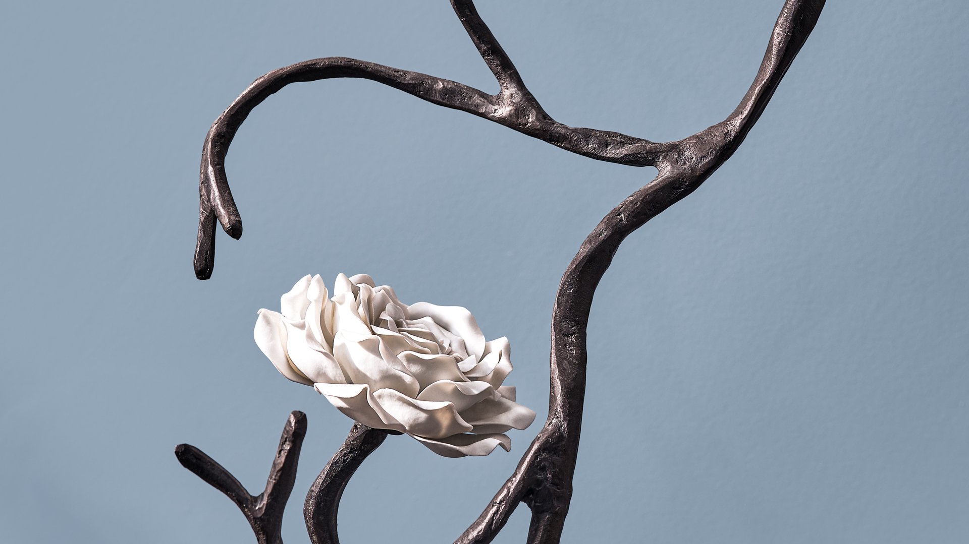 TIS_Cover_Nymph (2).jpg