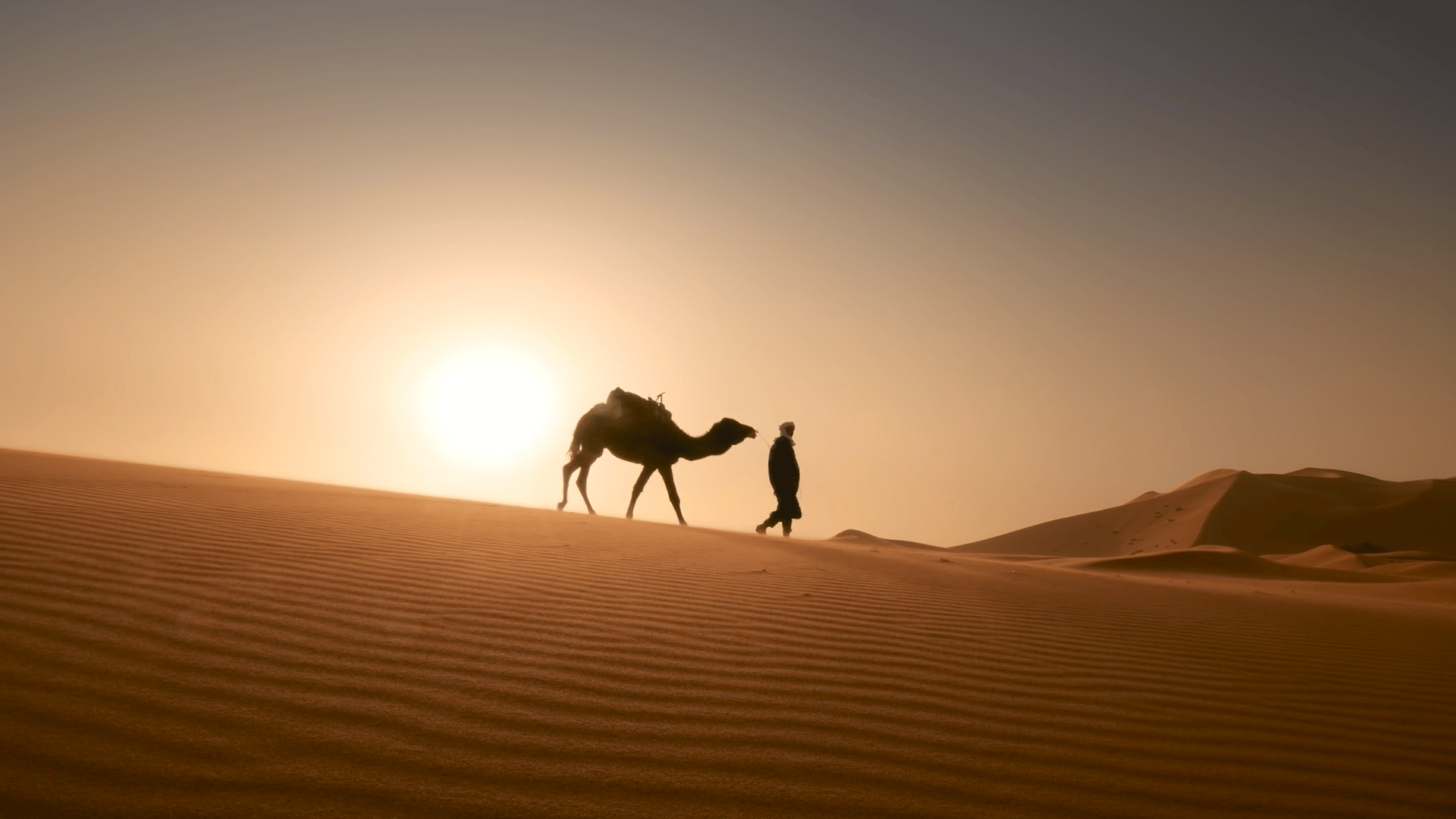 2025 Summer Campaign - Static Header.png