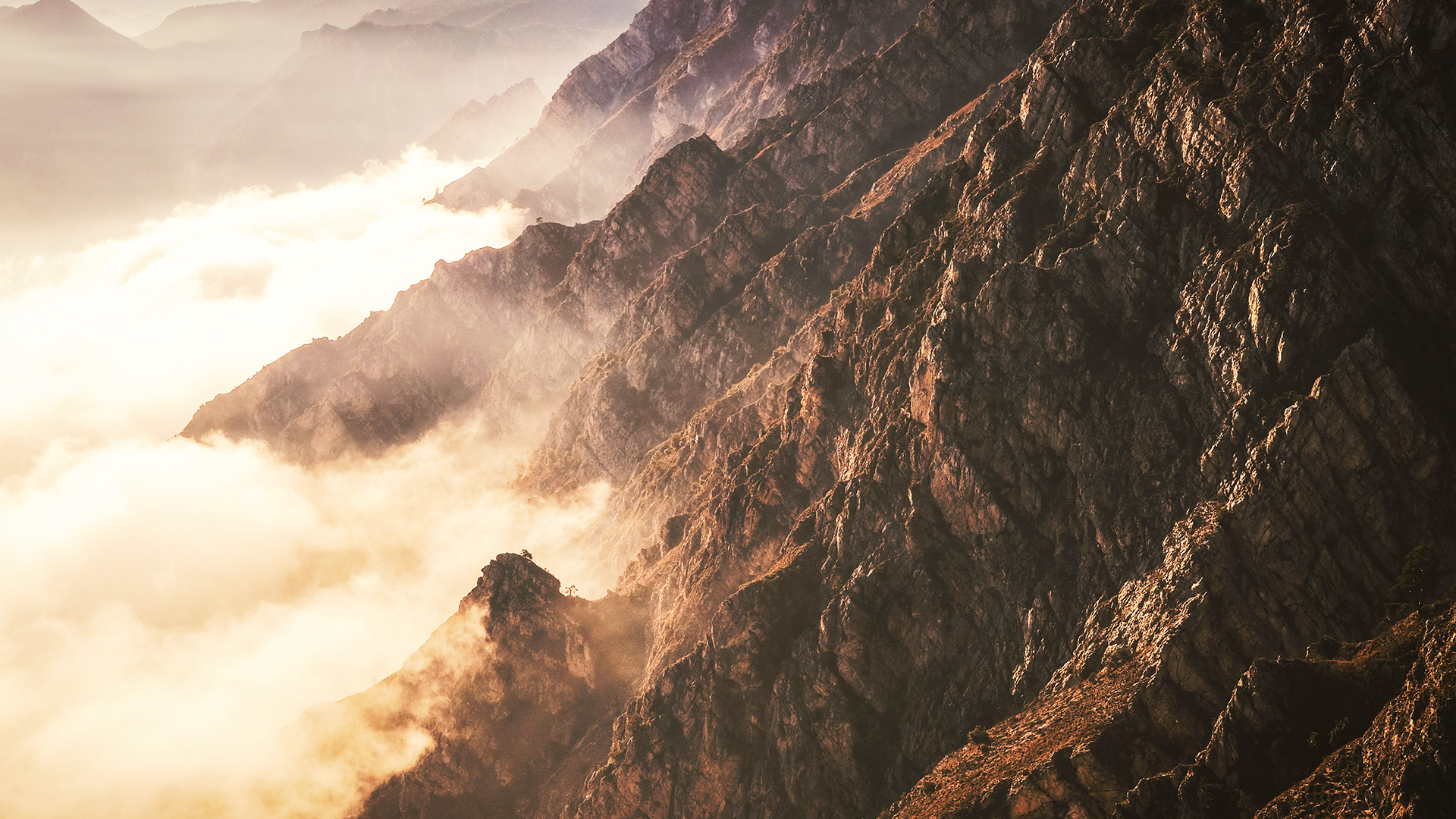 Move landscape V2 - 1920-1080px.png